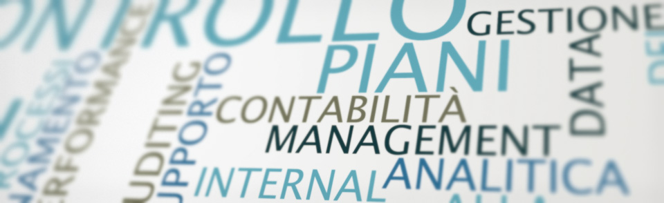 Da oltre dieci anni guidiamo le vostre capacità Consulting & Management Partners